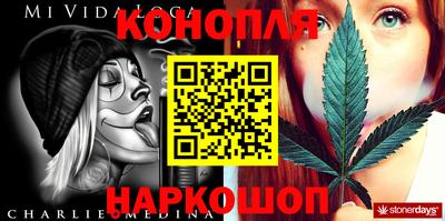 крисы Севастополь