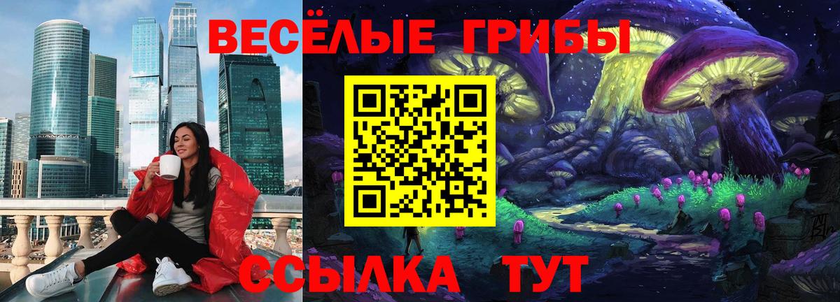 где найти   Вход с VPN  Тихорецк  Псилоцибиновые грибы MAGIC MUSHROOMS  Псилоцибиновые грибы Psilocybe 