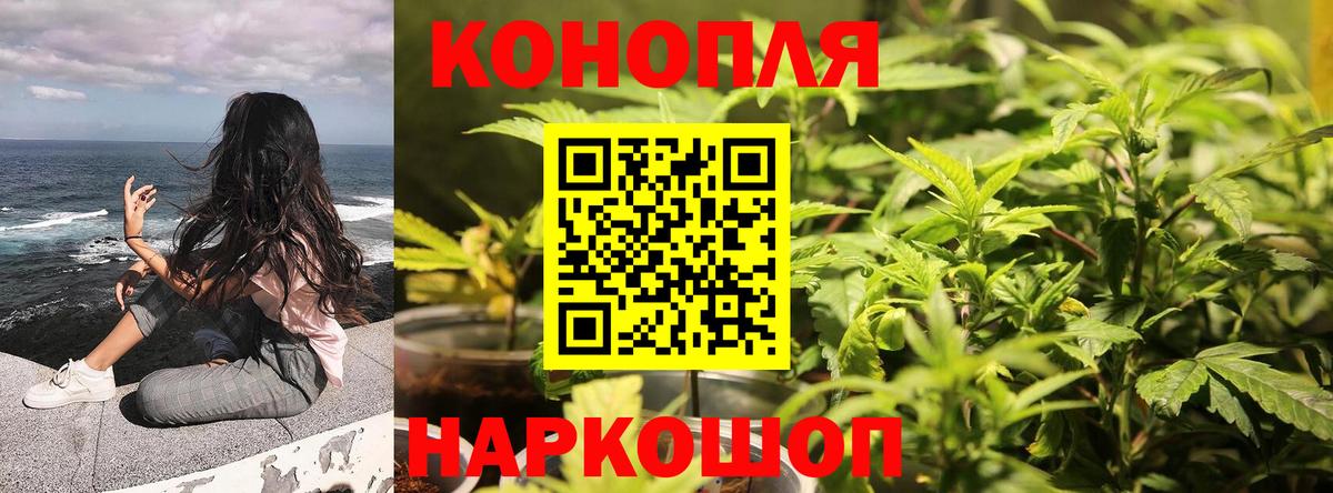 Шишки марихуана гибрид  Конопля сатива  Тихорецк  Конопля Bruce Banner  Вход с VPN 